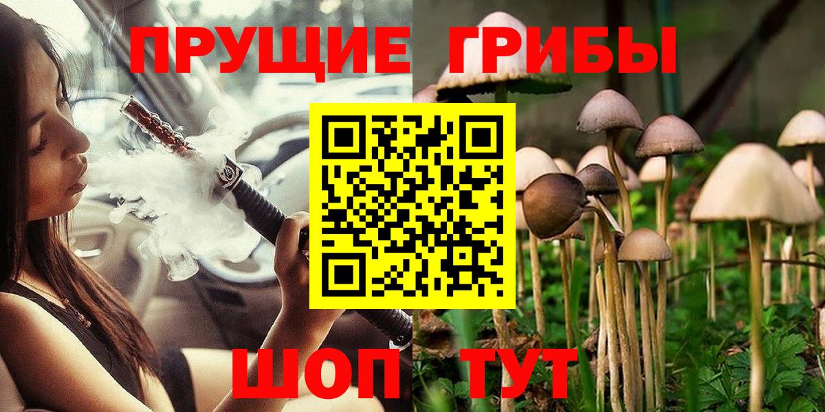 Галлюциногенные грибы Cubensis Джанкой